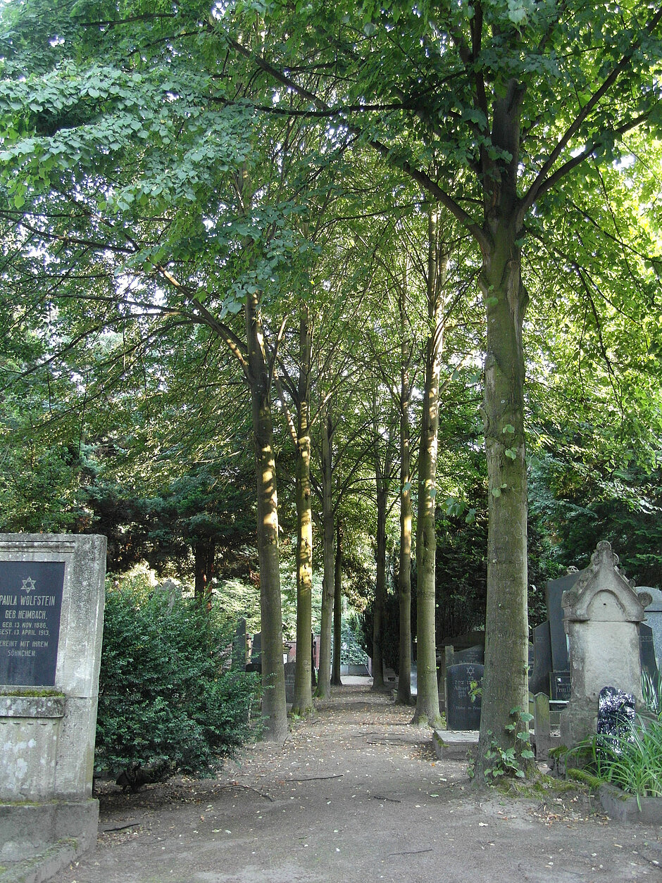 Mittelstreifen des Friedhofs; Hauptweg