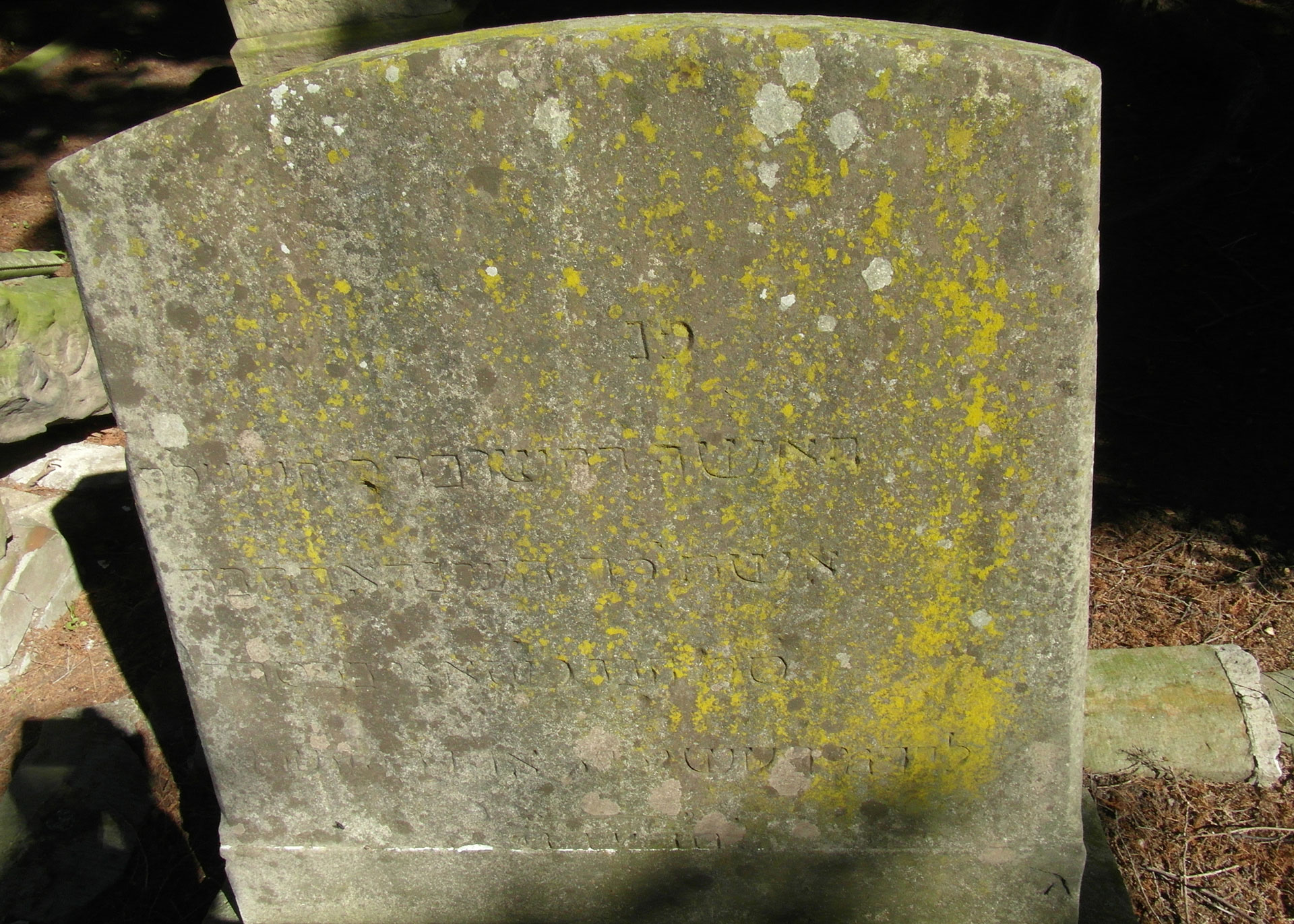 Der älteste erhaltene Grabstein: Sophie Haindorf (R25)